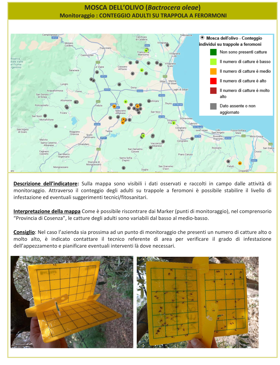Mappa monitoraggio Mosca dell'olivo – Cosenza, bollettino N° 16 del 12/10/2026